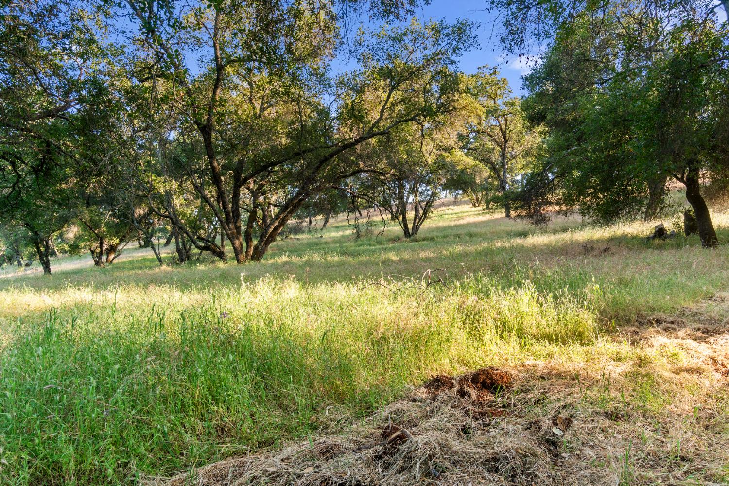 Detail Gallery Image 73 of 83 For 5001 Mourning Dove Ln, Shingle Springs,  CA 95682 - 4 Beds | 3/1 Baths