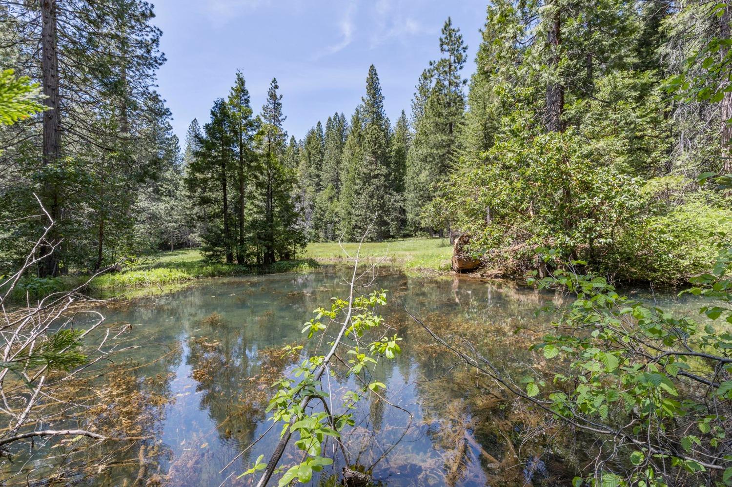 Detail Gallery Image 6 of 58 For 14138 La Porte Rd, Strawberry Valley,  CA 95981 - 2 Beds | 2/1 Baths