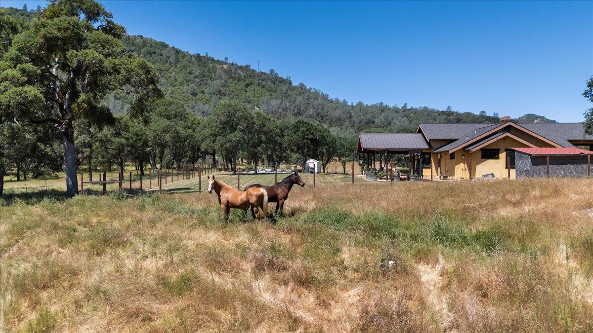 Detail Gallery Image 77 of 97 For 9267 7r Bar Rd, Angels Camp,  CA 95222 - 3 Beds | 3/1 Baths