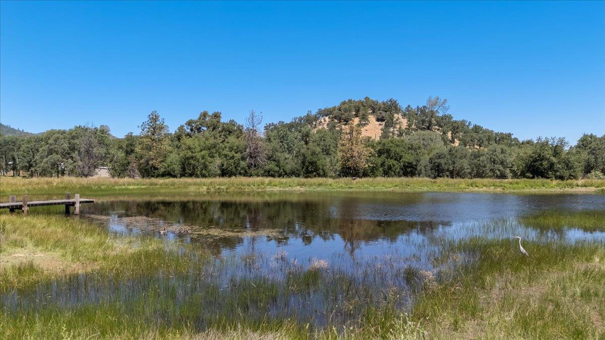 Detail Gallery Image 89 of 97 For 9267 7r Bar Rd, Angels Camp,  CA 95222 - 3 Beds | 3/1 Baths