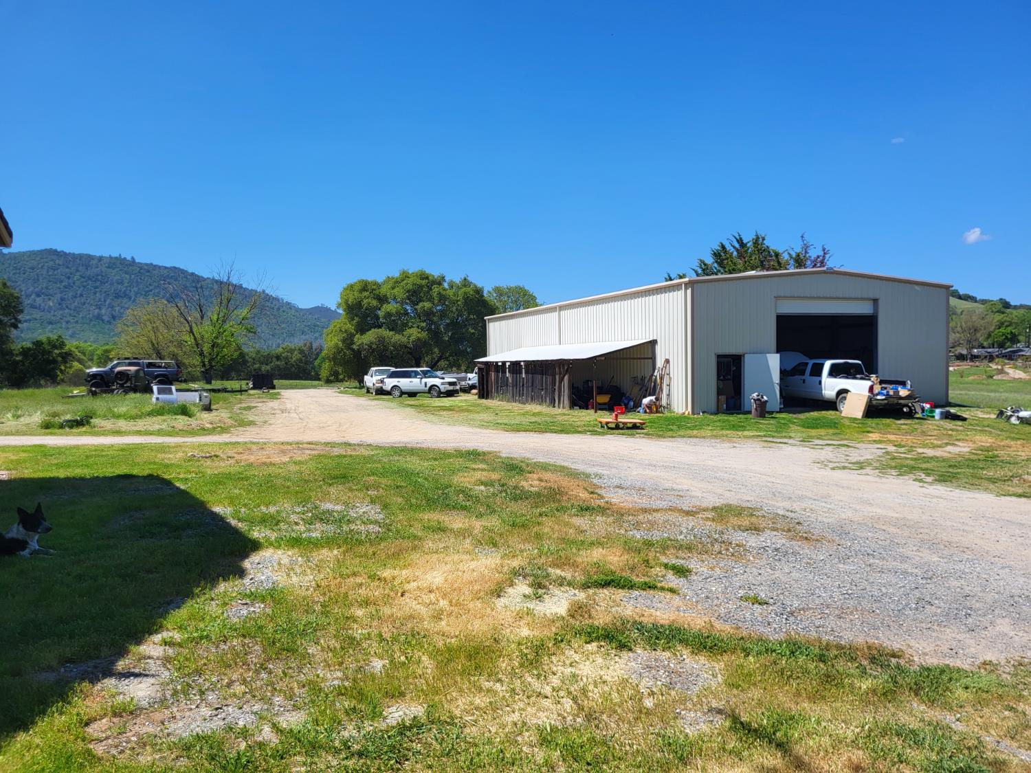 Detail Gallery Image 51 of 56 For 10093 Bailinquick Rd, Angels Camp,  CA 95222 - 3 Beds | 2/1 Baths