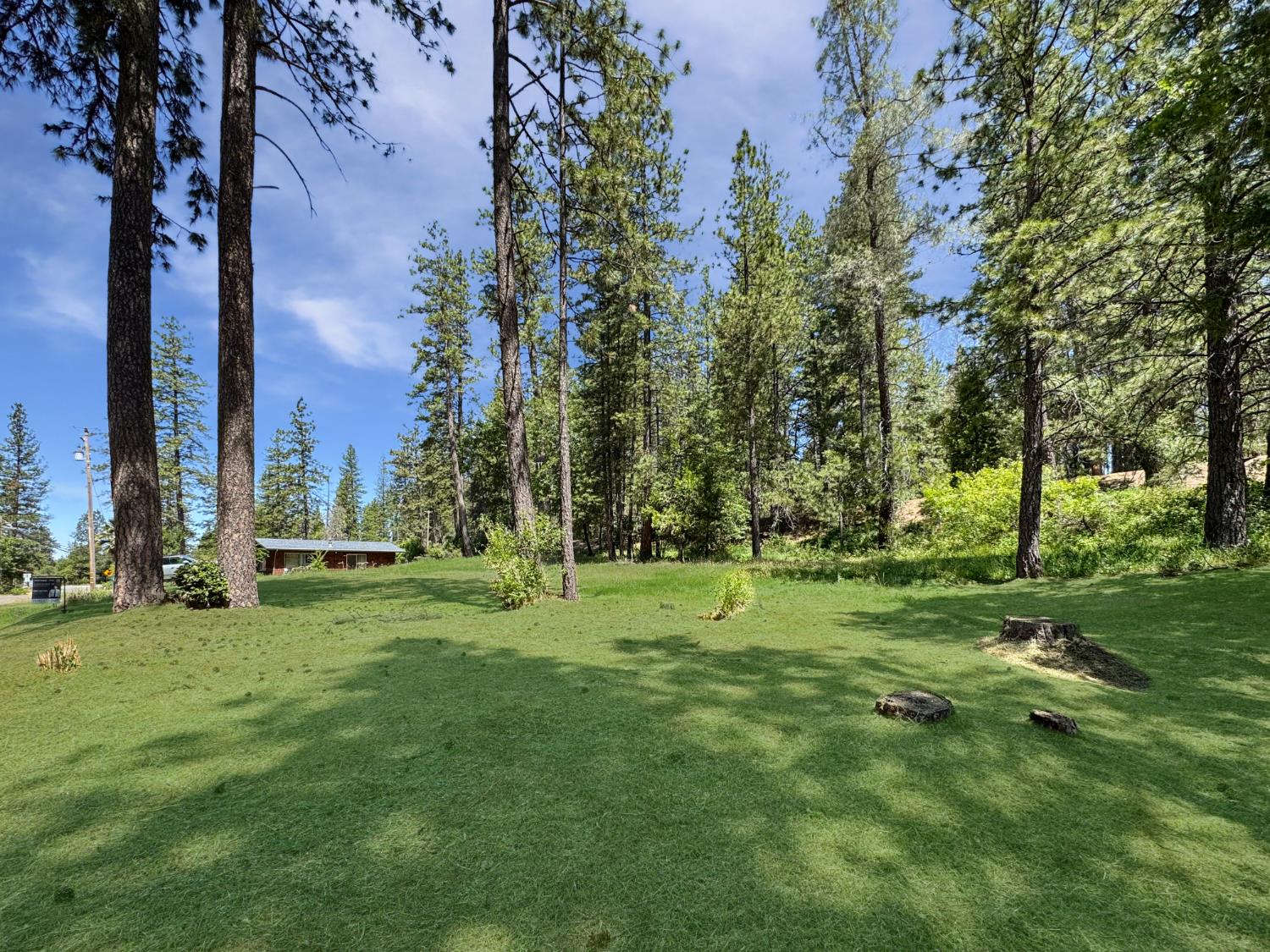 Detail Gallery Image 6 of 8 For 16996 Old Downieville Hwy, Nevada City,  CA 95959 - – Beds | – Baths