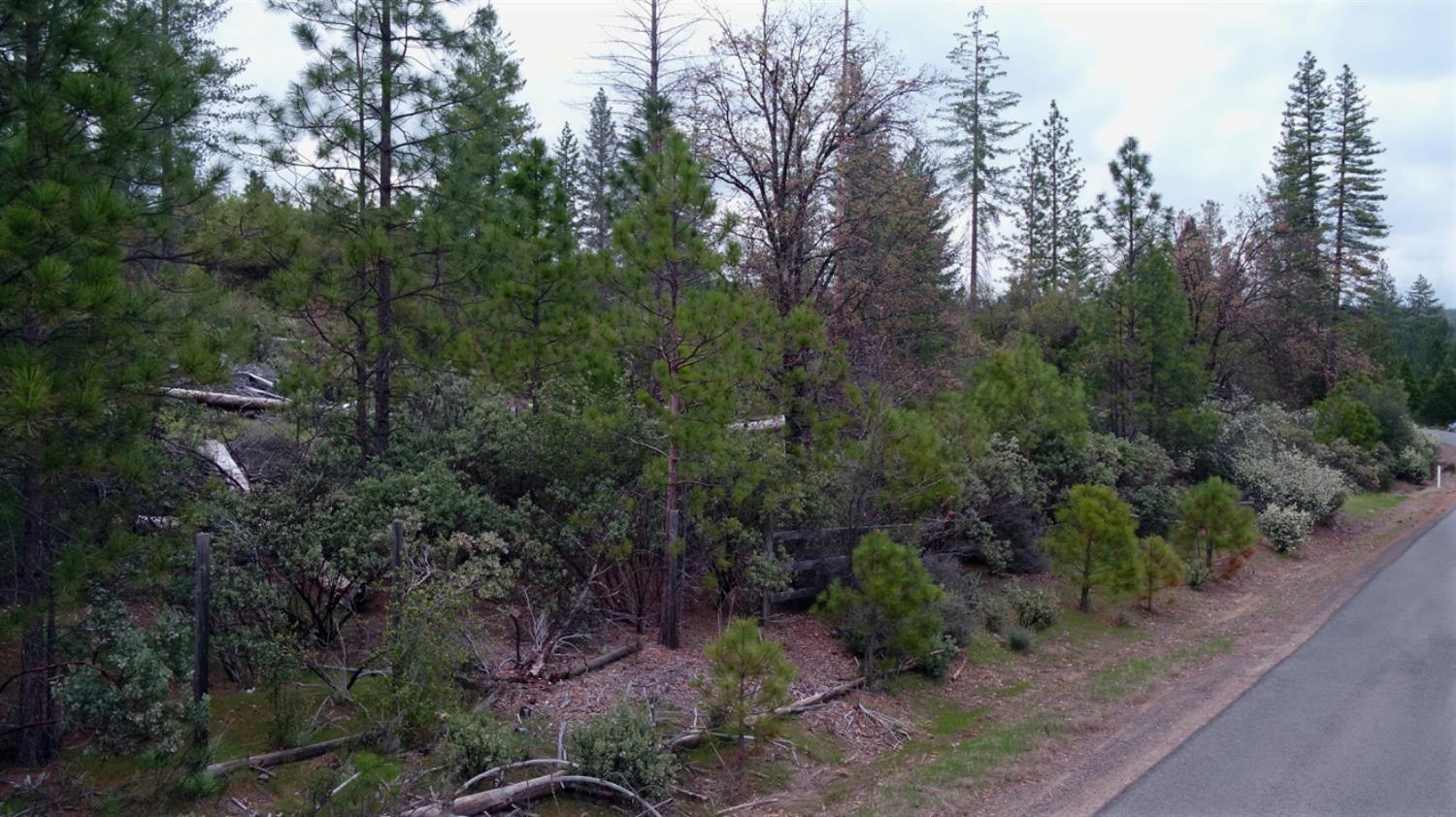 Detail Gallery Image 29 of 34 For 6363 Dogtown Rd, Coulterville,  CA 95311 - – Beds | – Baths