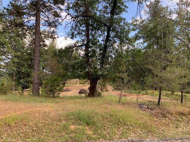 Detail Gallery Image 5 of 8 For 1500 Live Oak Rd, Colfax,  CA 95713 - – Beds | – Baths