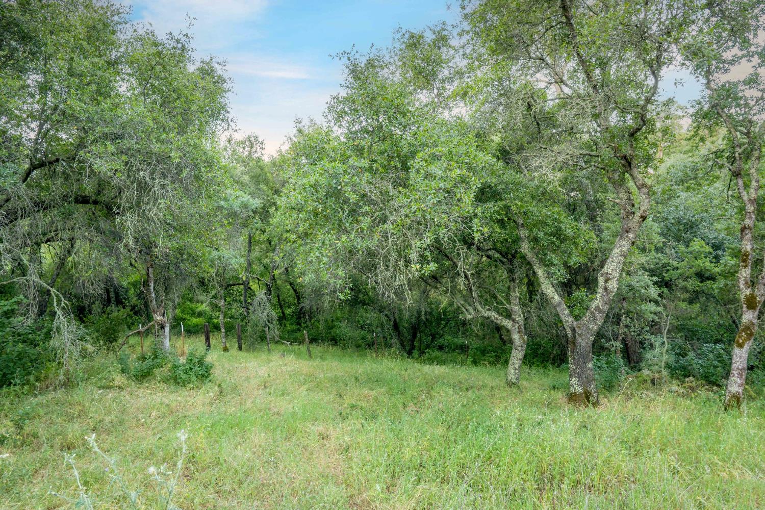 Edgehill Way, Marysville, California image 38