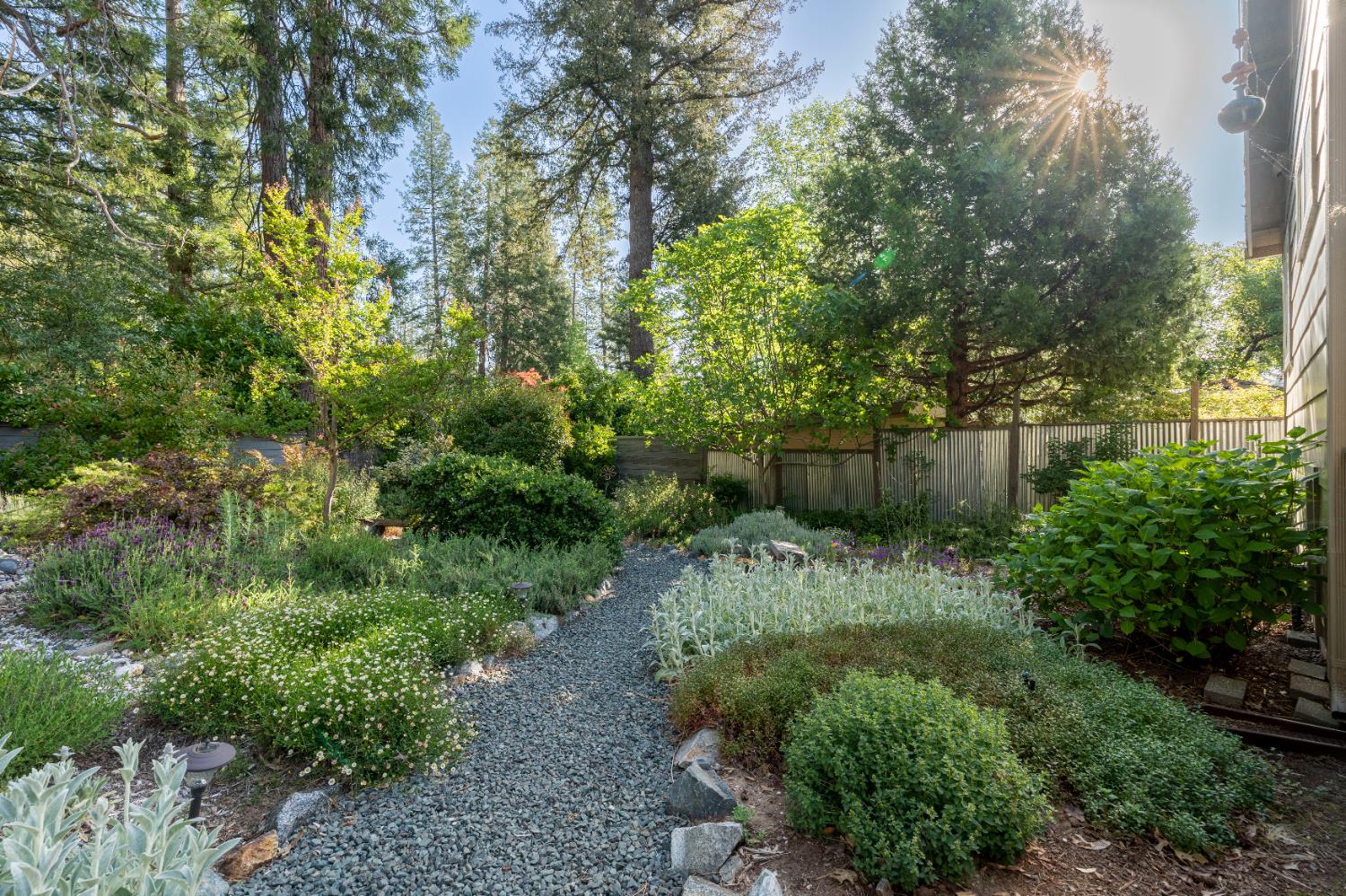 Detail Gallery Image 43 of 49 For 242 Brock Rd, Nevada City,  CA 95959 - 4 Beds | 2 Baths