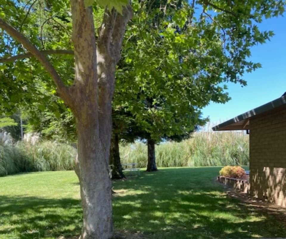 Detail Gallery Image 15 of 15 For 12092 Clay Station Rd, Herald,  CA 95638 - 3 Beds | 2 Baths
