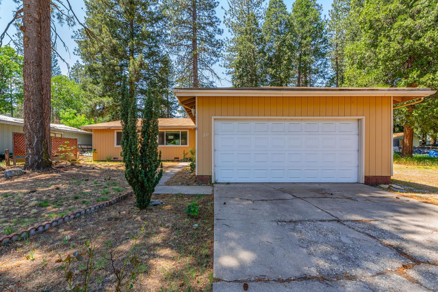 Detail Gallery Image 2 of 18 For 237 Katherine St, Quincy,  CA 95971 - 2 Beds | 1 Baths