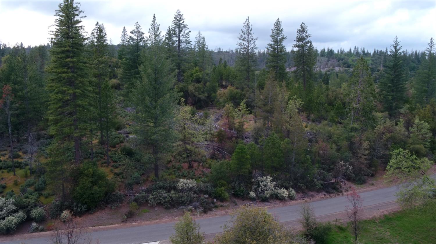Detail Gallery Image 26 of 34 For 6363 Dogtown Rd, Coulterville,  CA 95311 - – Beds | – Baths