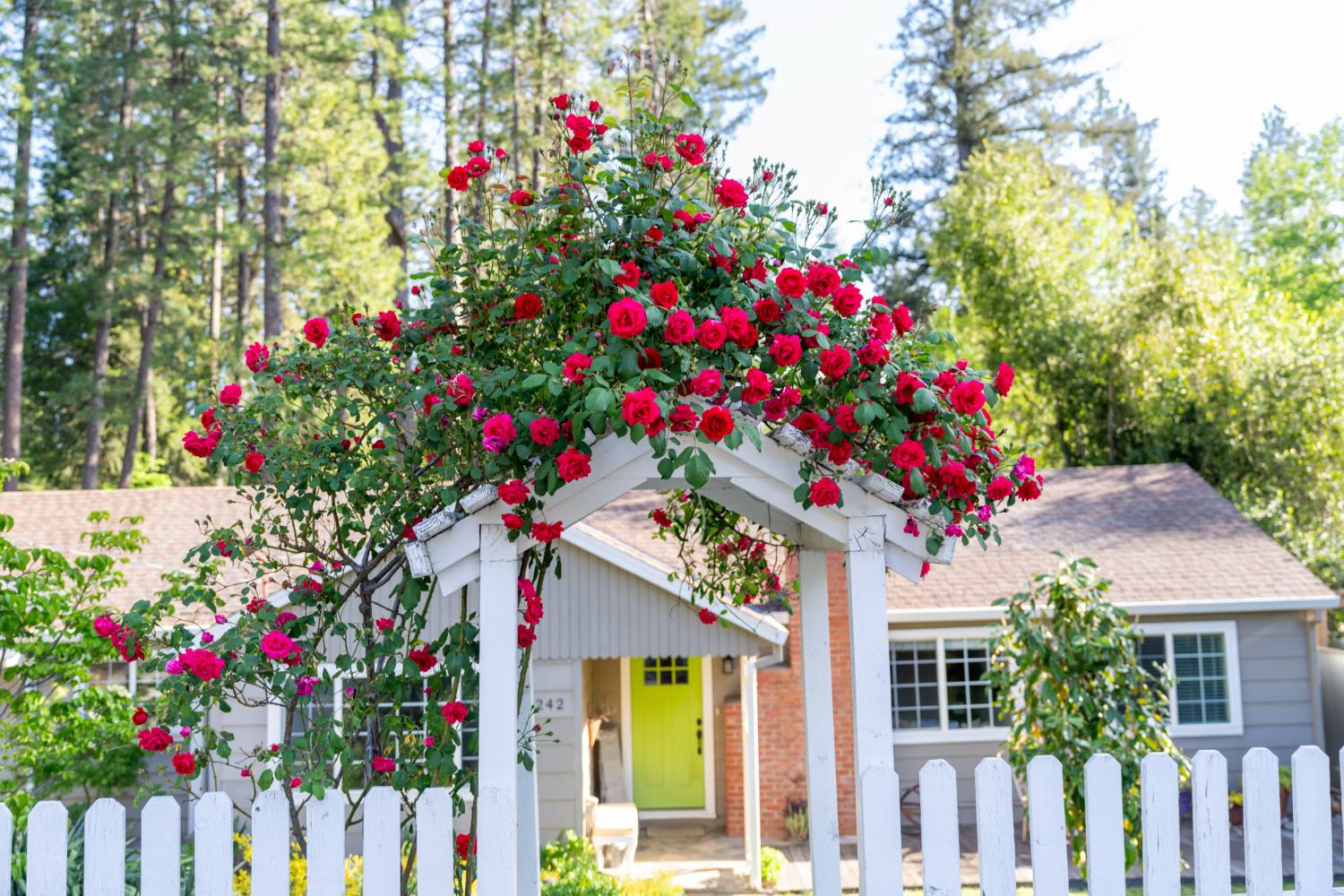 Detail Gallery Image 49 of 49 For 242 Brock Rd, Nevada City,  CA 95959 - 4 Beds | 2 Baths