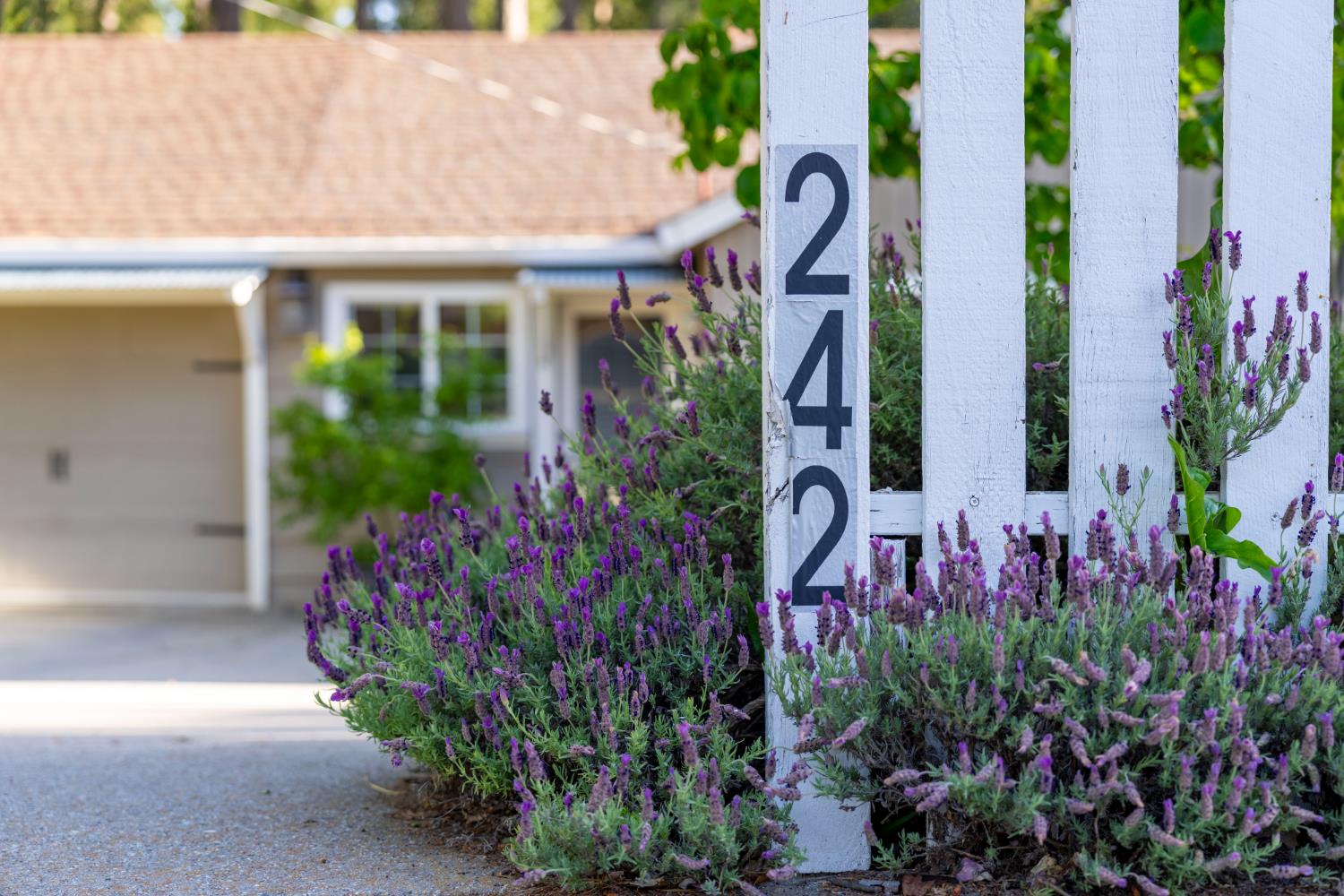 Detail Gallery Image 3 of 49 For 242 Brock Rd, Nevada City,  CA 95959 - 4 Beds | 2 Baths