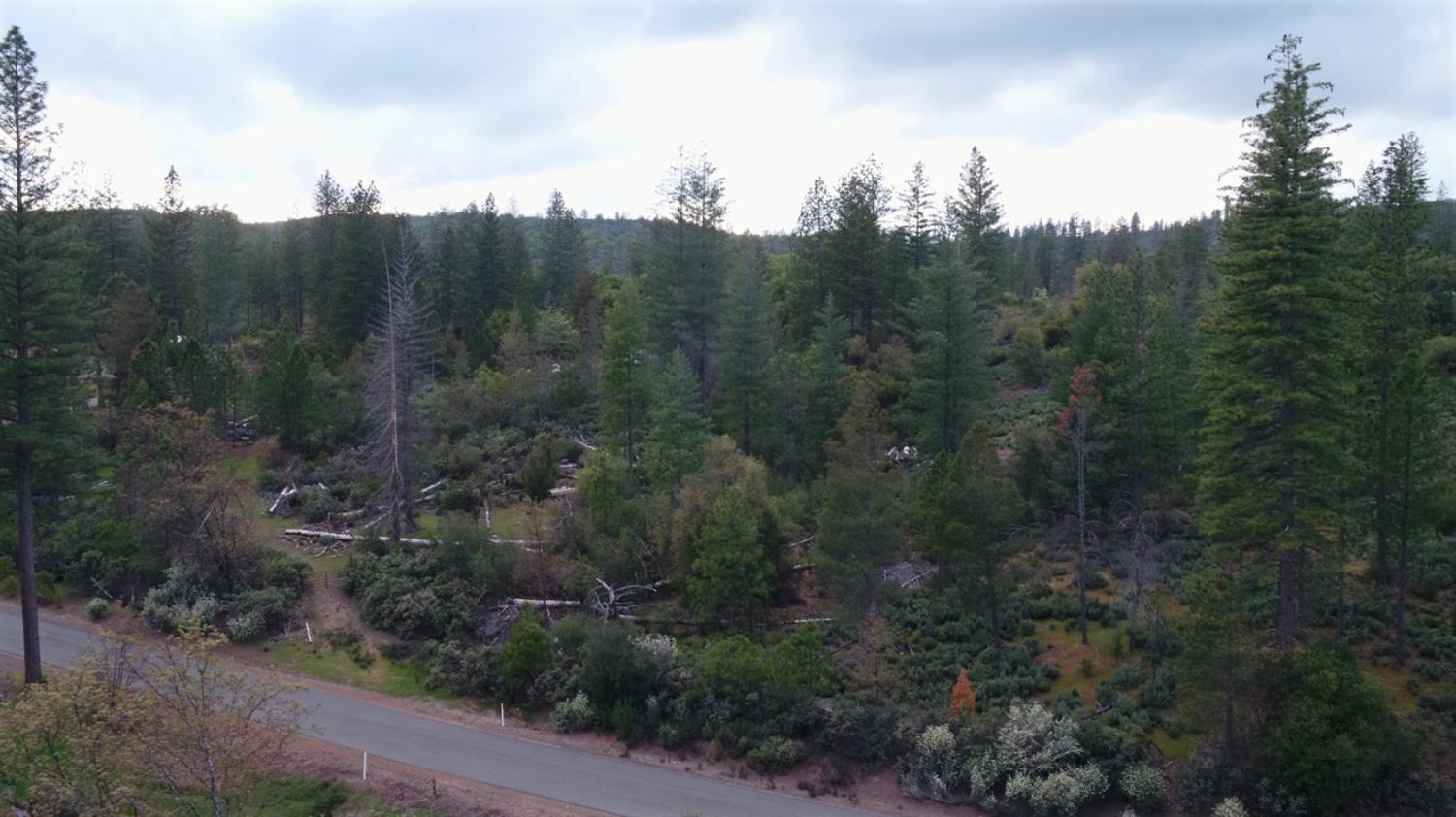 Detail Gallery Image 27 of 34 For 6363 Dogtown Rd, Coulterville,  CA 95311 - – Beds | – Baths