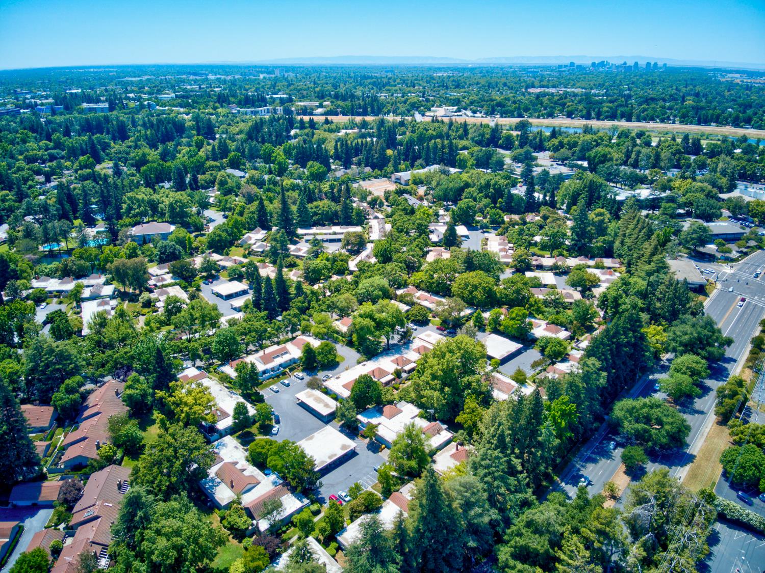 Photo #50: 225053246 Listing: Photo #50