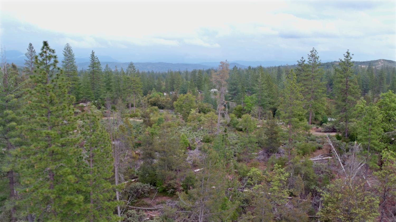 Detail Gallery Image 9 of 34 For 6363 Dogtown Rd, Coulterville,  CA 95311 - – Beds | – Baths