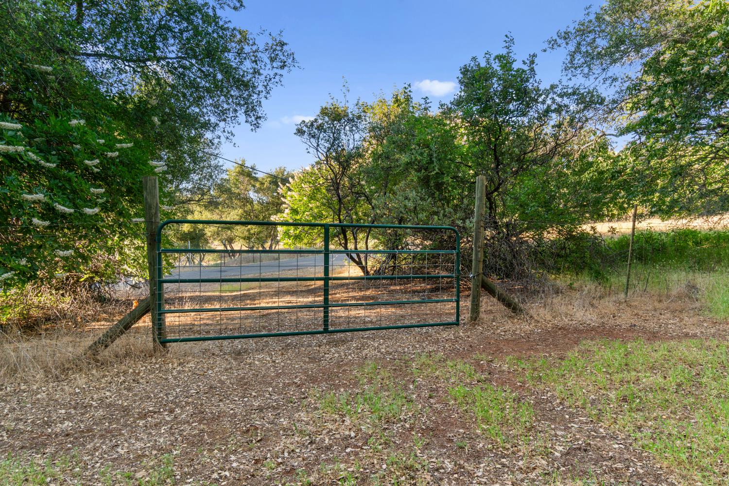 Detail Gallery Image 70 of 83 For 5001 Mourning Dove Ln, Shingle Springs,  CA 95682 - 4 Beds | 3/1 Baths