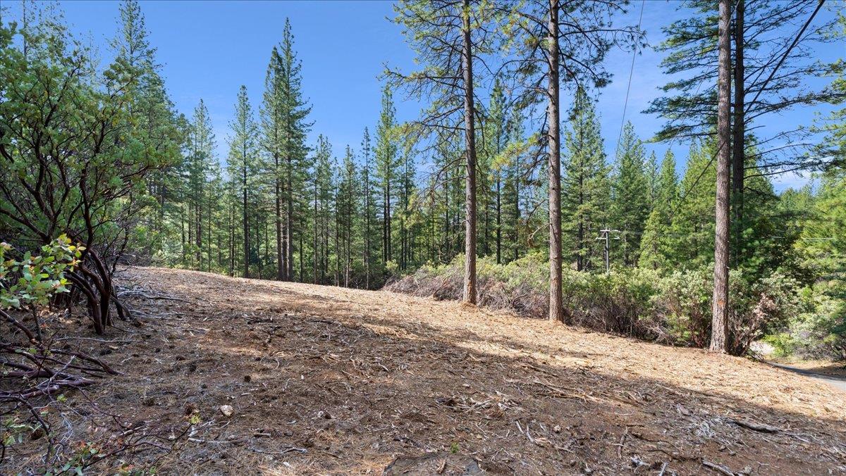 Acres Homestead Drive, Pollock Pines, California image 5