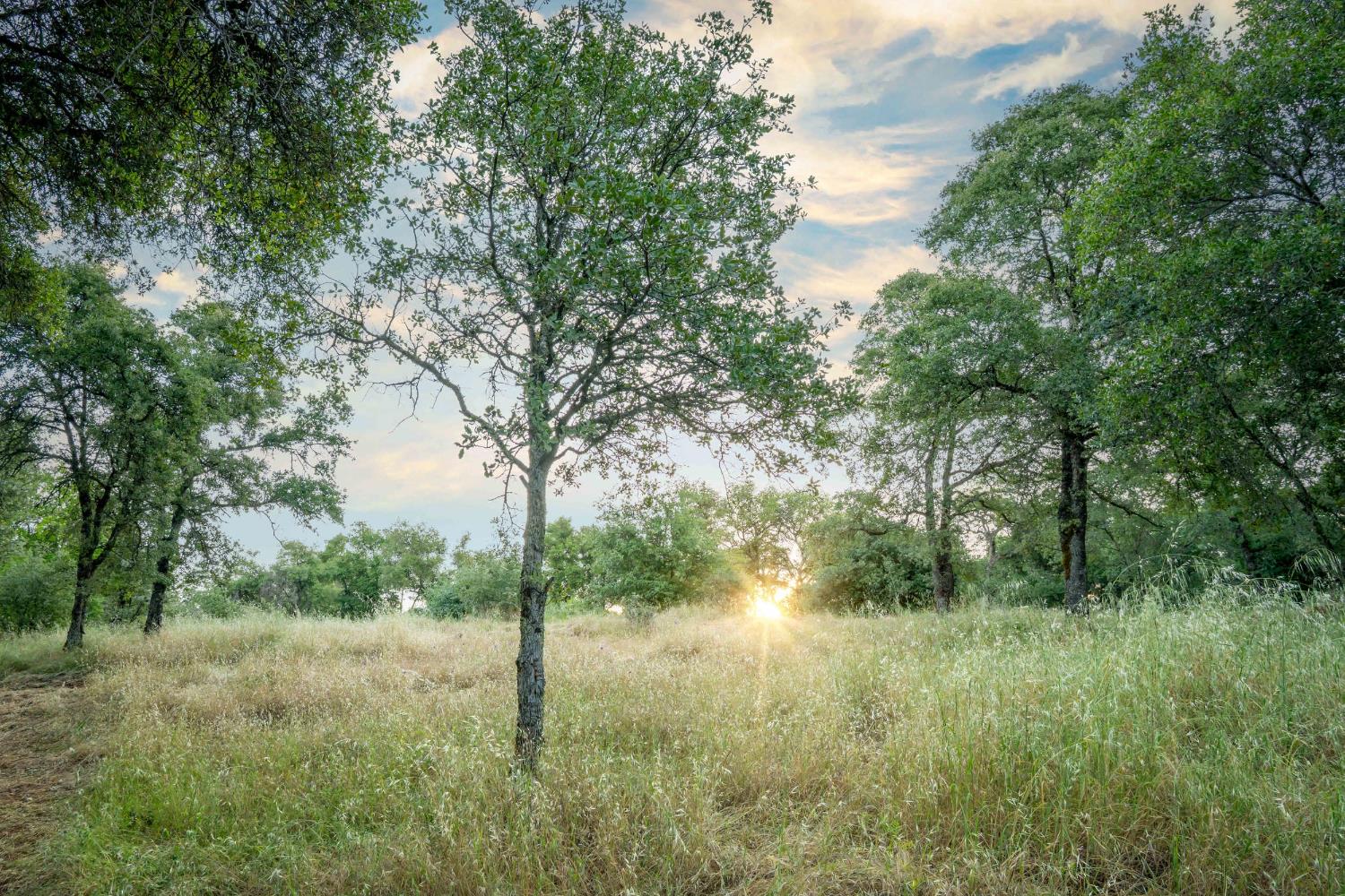 Edgehill Way, Marysville, California image 42