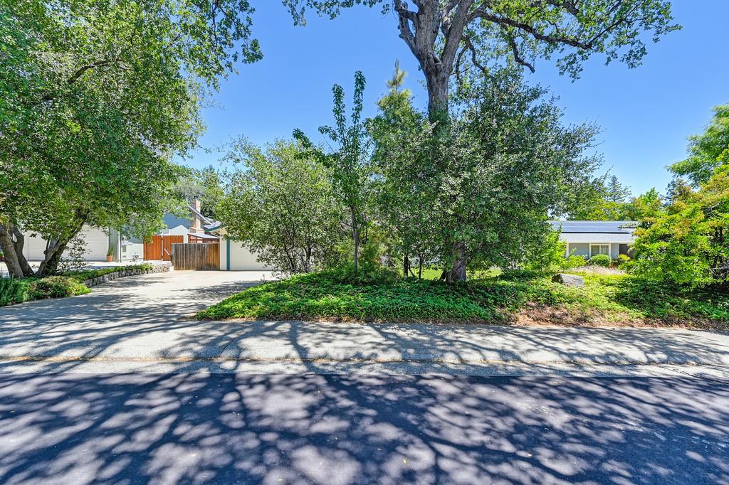 Tracy Lane, Auburn, California image 11