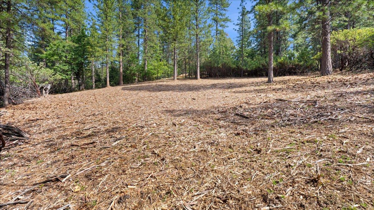 Acres Homestead Drive, Pollock Pines, California image 14