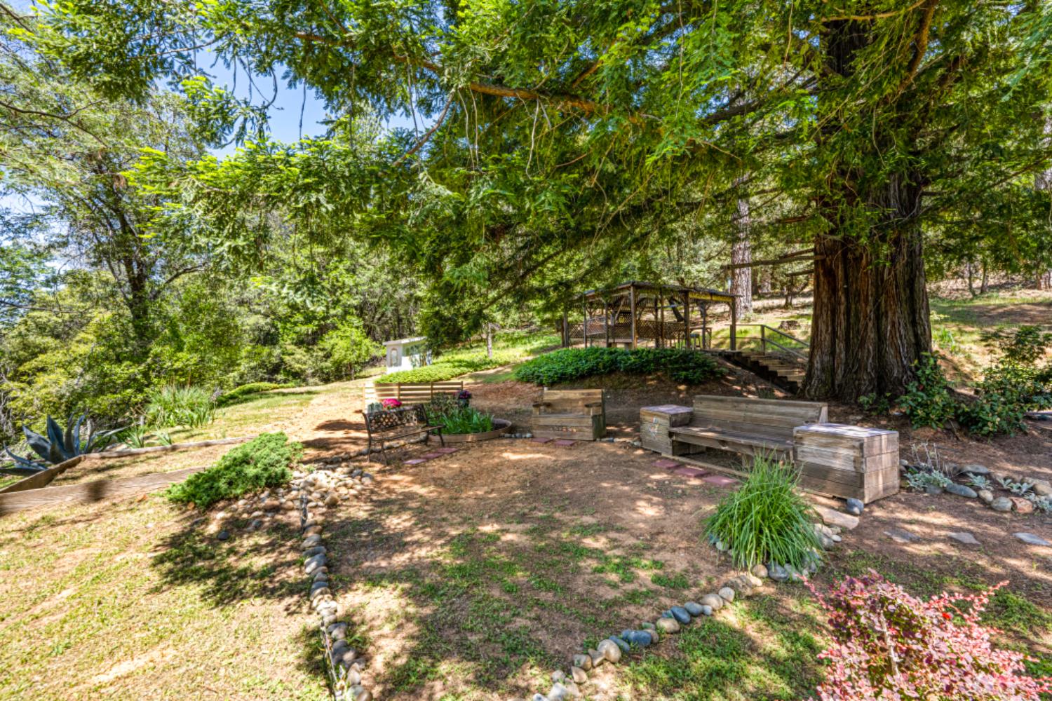 Detail Gallery Image 19 of 65 For 880 Quail Haven Rd, Colfax,  CA 95713 - 3 Beds | 2 Baths