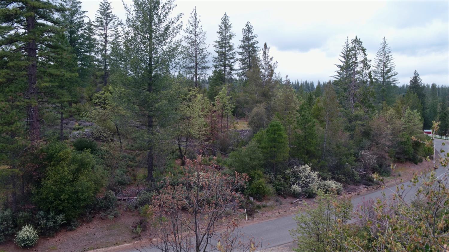 Detail Gallery Image 33 of 34 For 6363 Dogtown Rd, Coulterville,  CA 95311 - – Beds | – Baths
