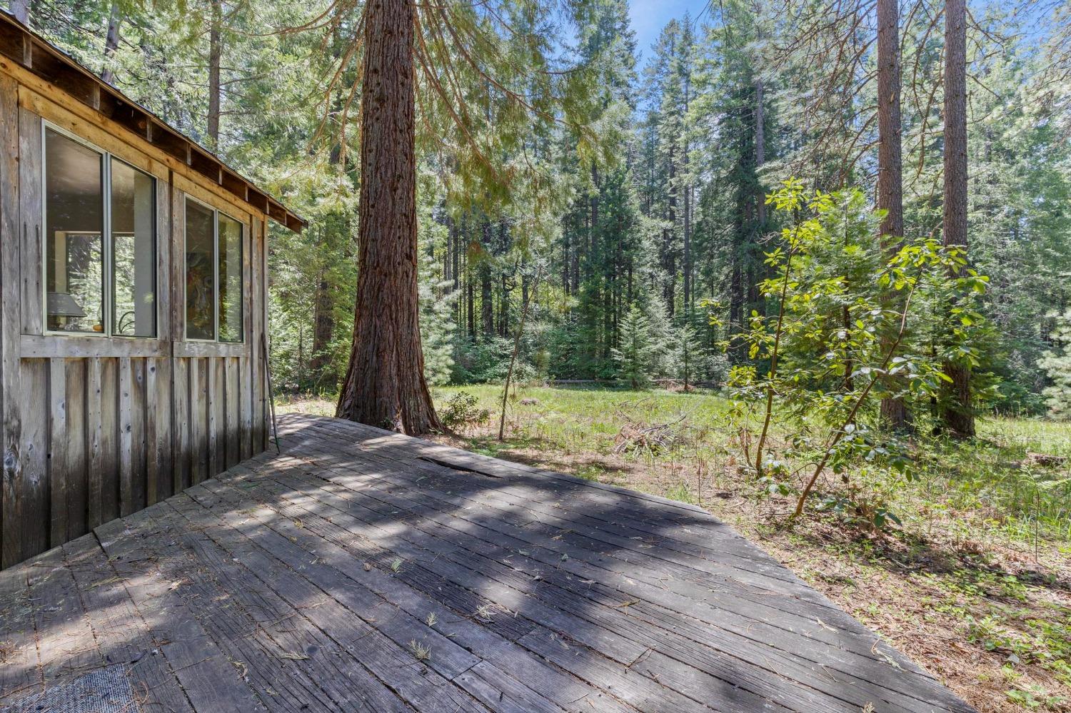 Detail Gallery Image 33 of 58 For 14138 La Porte Rd, Strawberry Valley,  CA 95981 - 2 Beds | 2/1 Baths