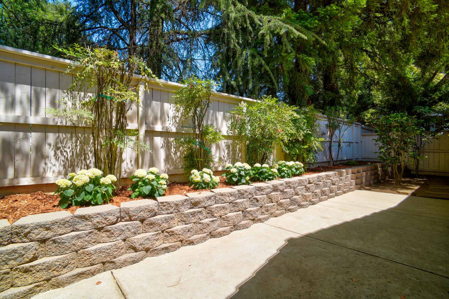 Photo #33: 225053246 Listing: Photo #33