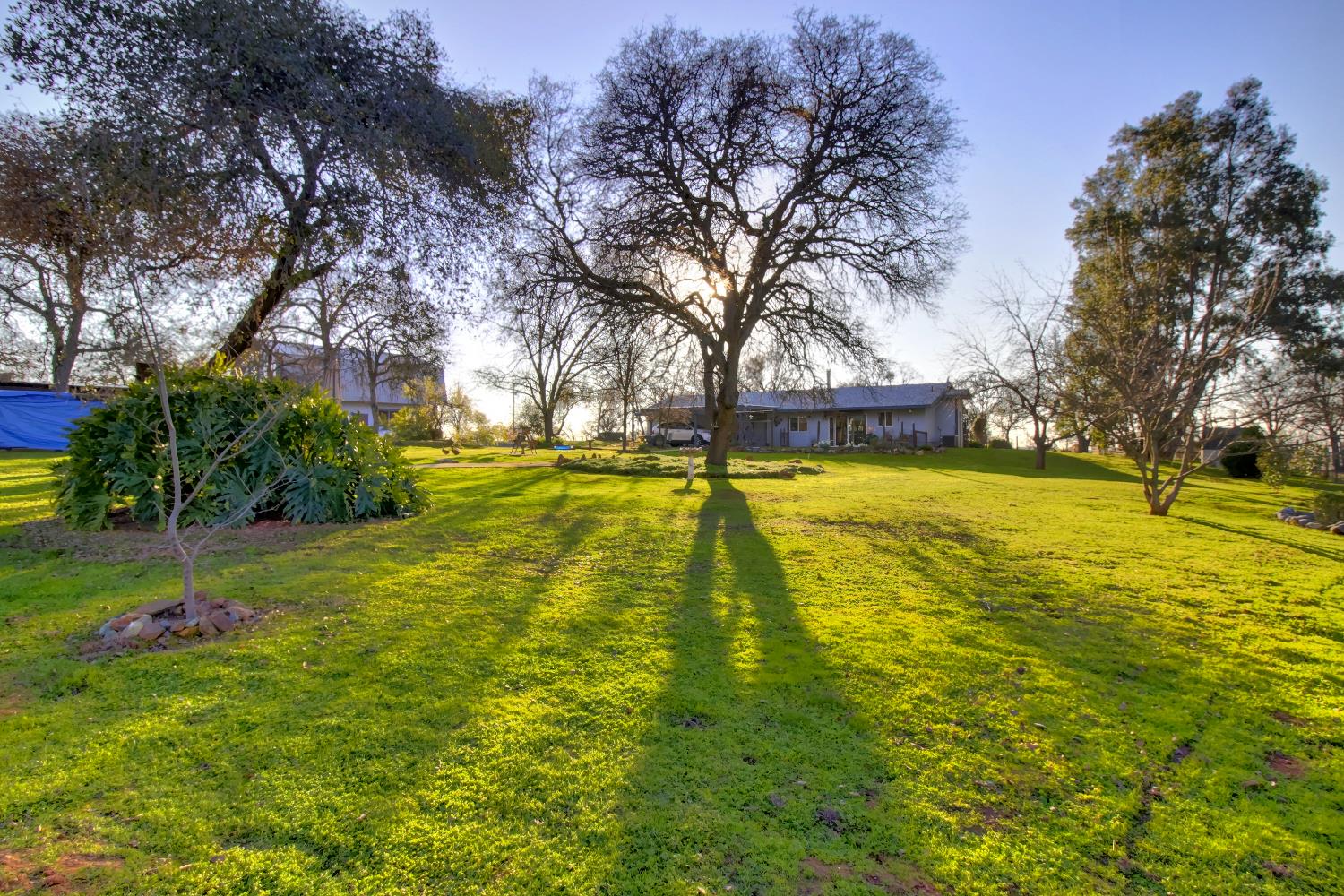 Detail Gallery Image 47 of 65 For 15828 Barney Rd, Plymouth,  CA 95669 - 3 Beds | 3 Baths