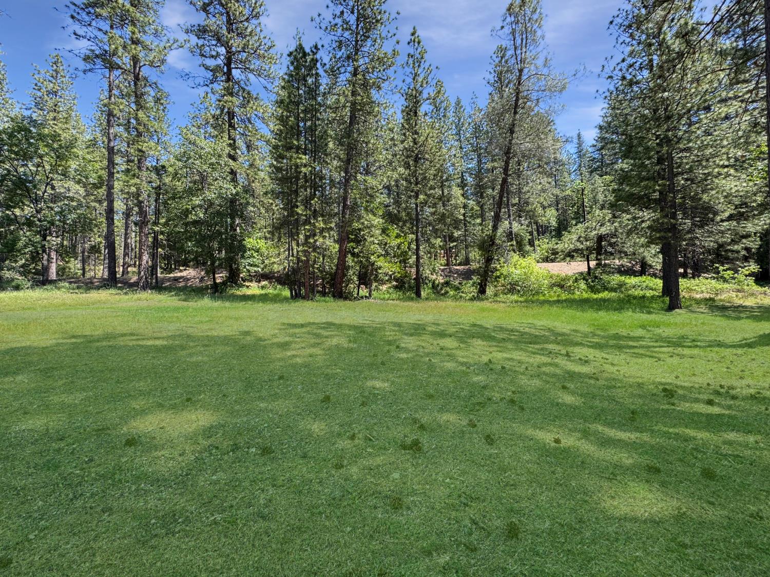 Detail Gallery Image 2 of 8 For 16996 Old Downieville Hwy, Nevada City,  CA 95959 - – Beds | – Baths