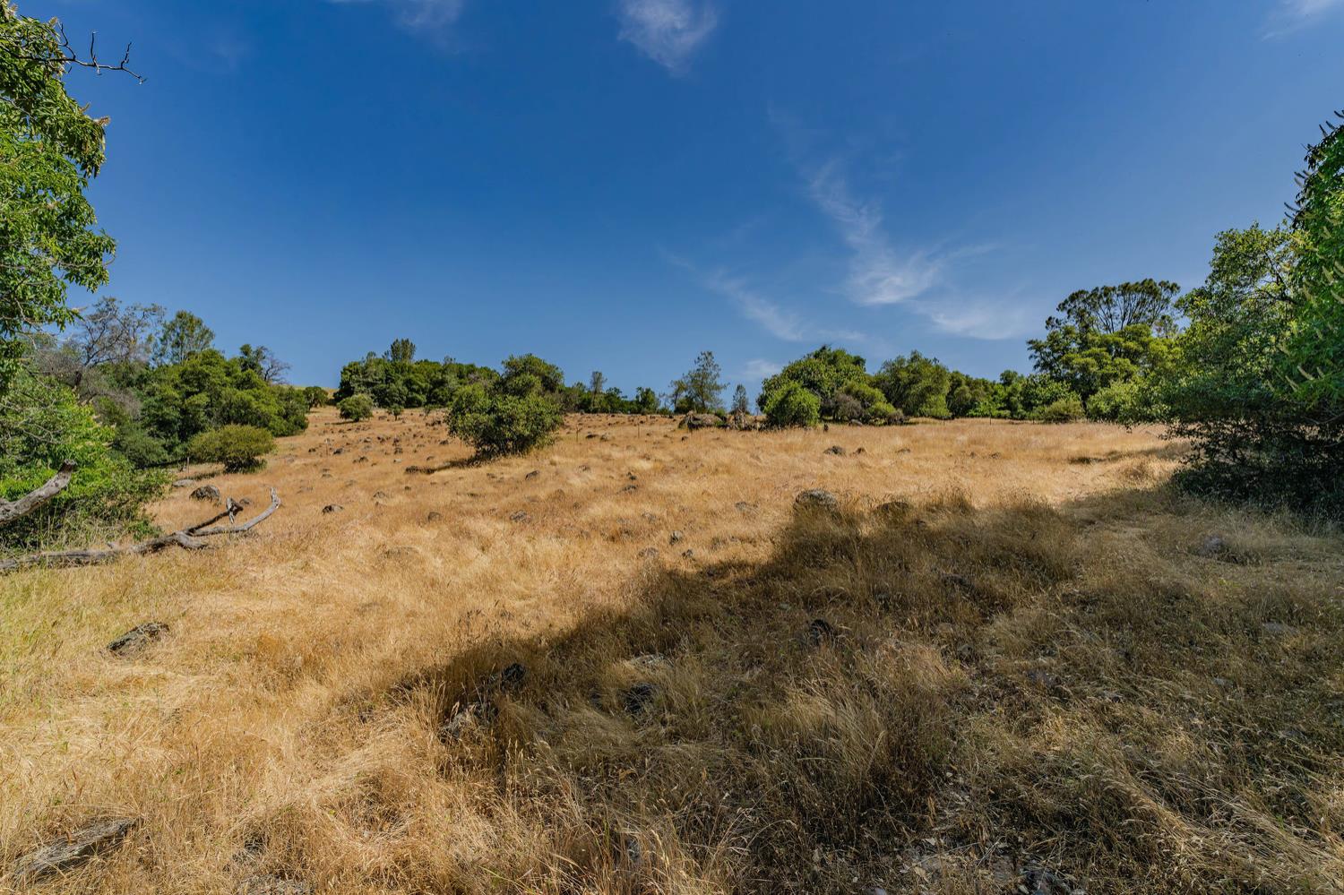 Detail Gallery Image 35 of 80 For 20651 Bertone Rd, Fiddletown,  CA 95629 - – Beds | – Baths