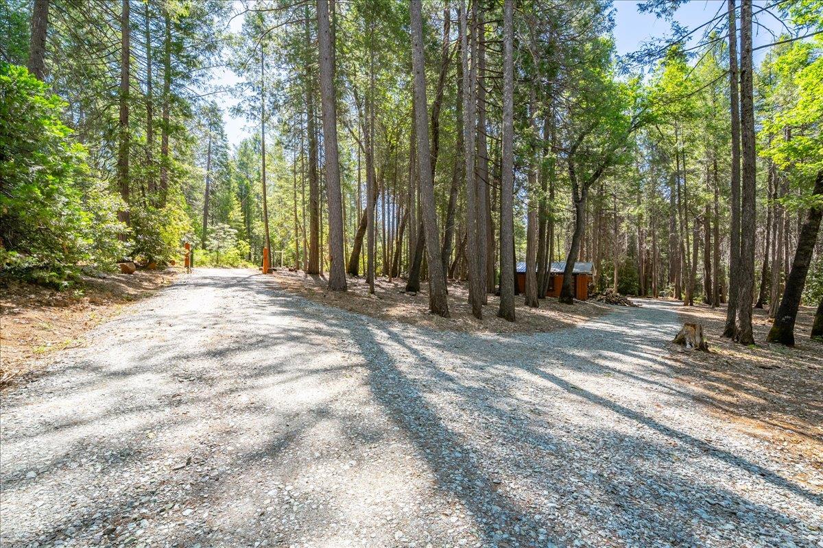 Detail Gallery Image 56 of 70 For 9131 Country Rd, Georgetown,  CA 95634 - 3 Beds | 2 Baths