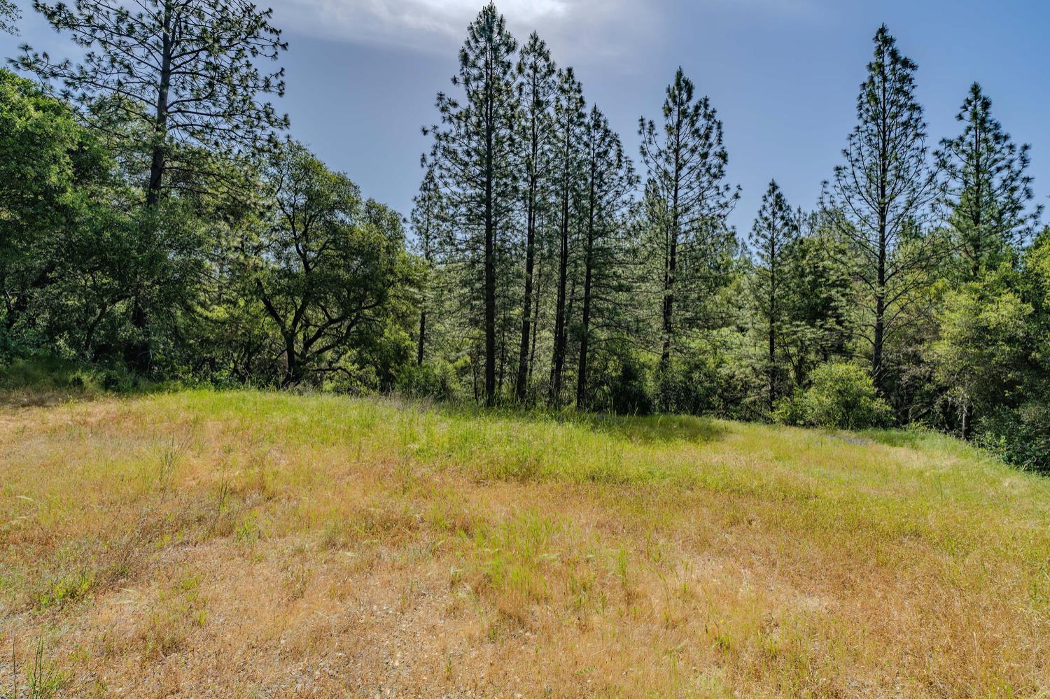 Detail Gallery Image 17 of 80 For 20651 Bertone Rd, Fiddletown,  CA 95629 - – Beds | – Baths