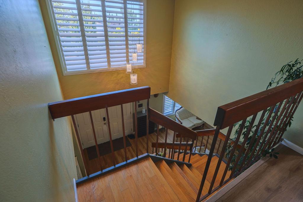Delores Drive, Union City, California image 28