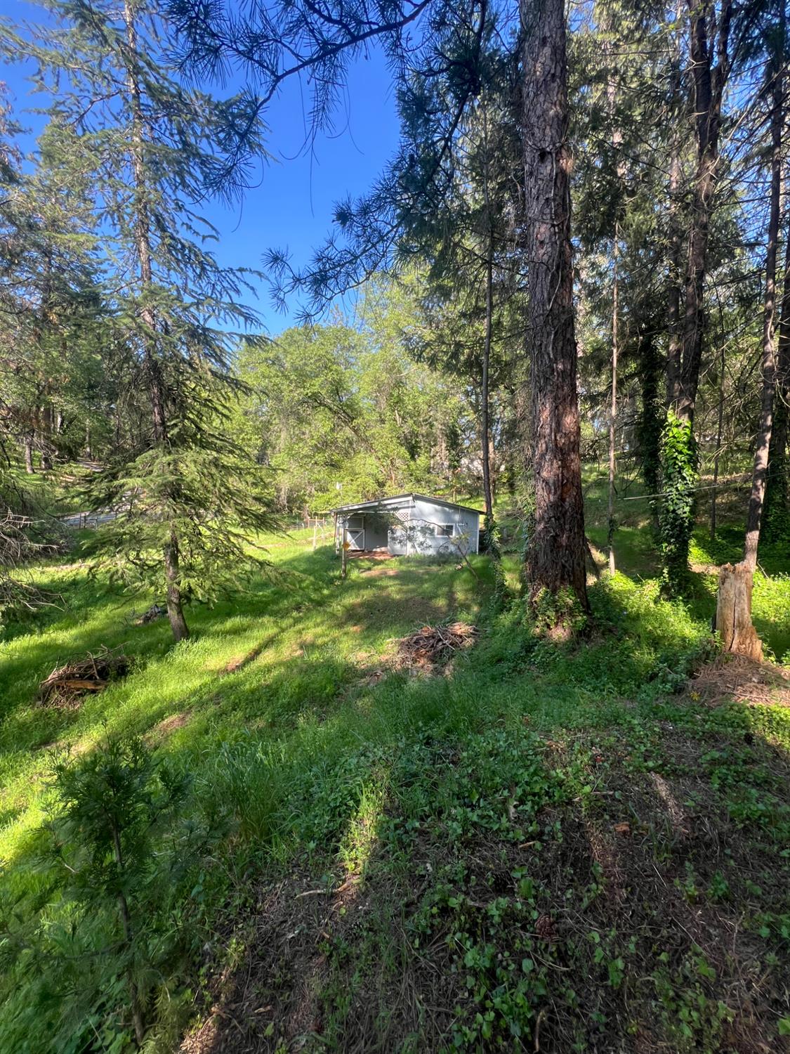 Combie Road, Meadow Vista, California image 30