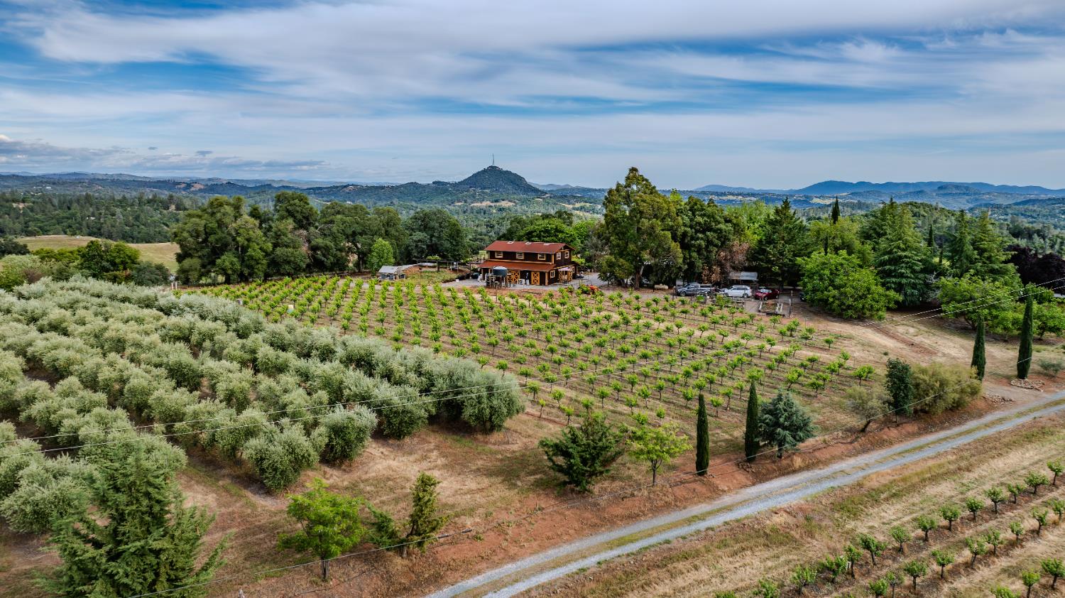Detail Gallery Image 67 of 73 For 11321 New York Ranch Rd, Jackson,  CA 95642 - 3 Beds | 2/1 Baths