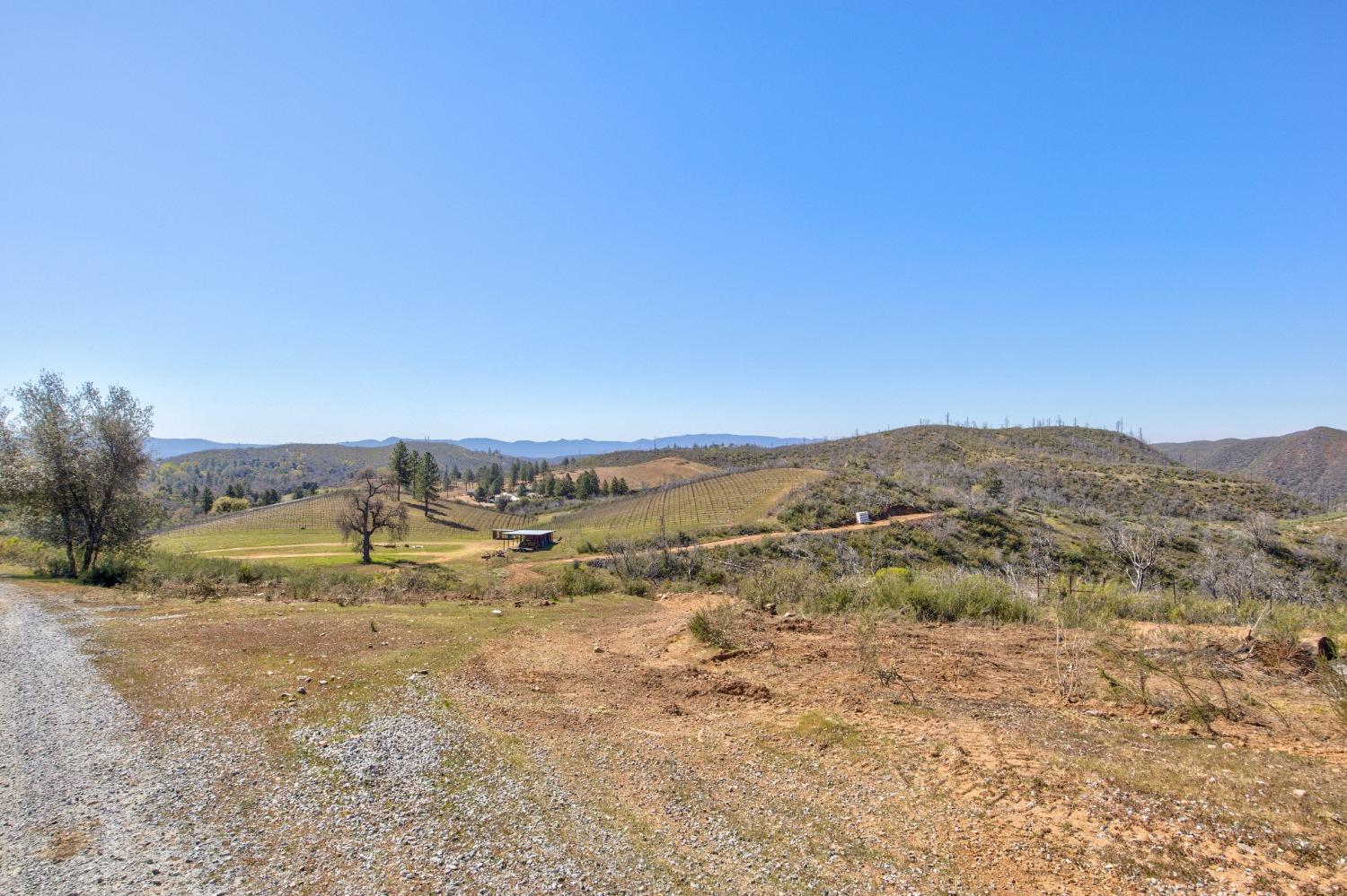 Detail Gallery Image 46 of 90 For 7005 Mountain Ranch Rd, Mountain Ranch,  CA 95246 - – Beds | – Baths