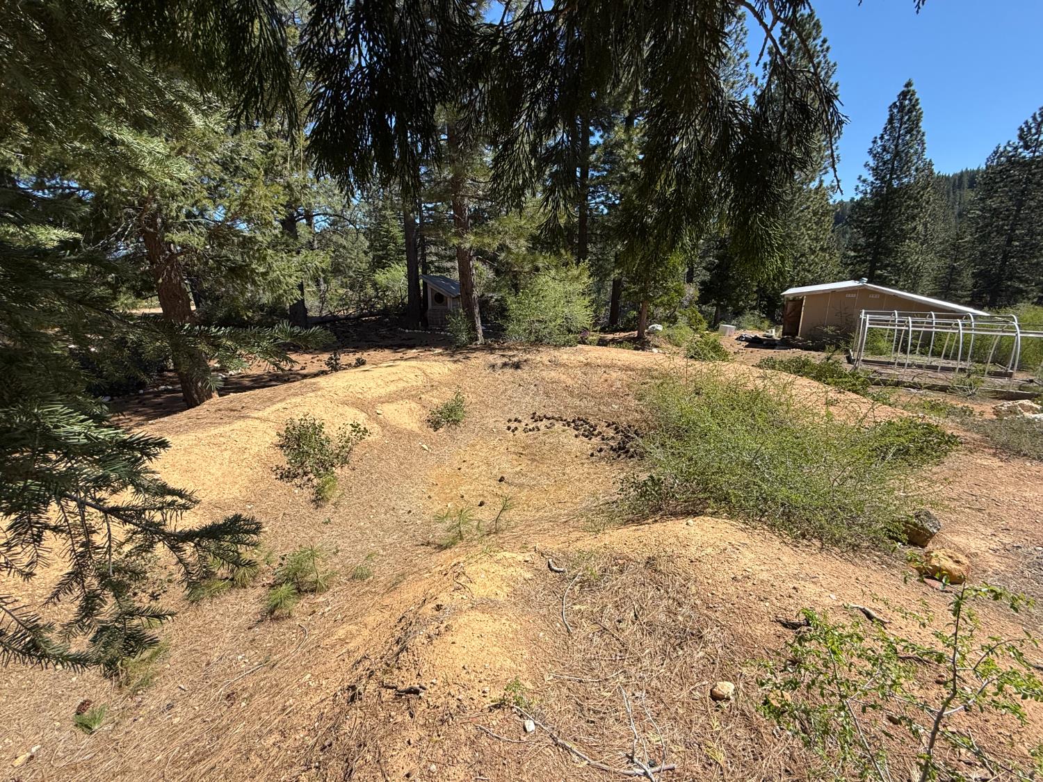 Detail Gallery Image 7 of 35 For 0 Ancho Mine Rd (Lot-1), Nevada City,  CA 95959 - – Beds | – Baths