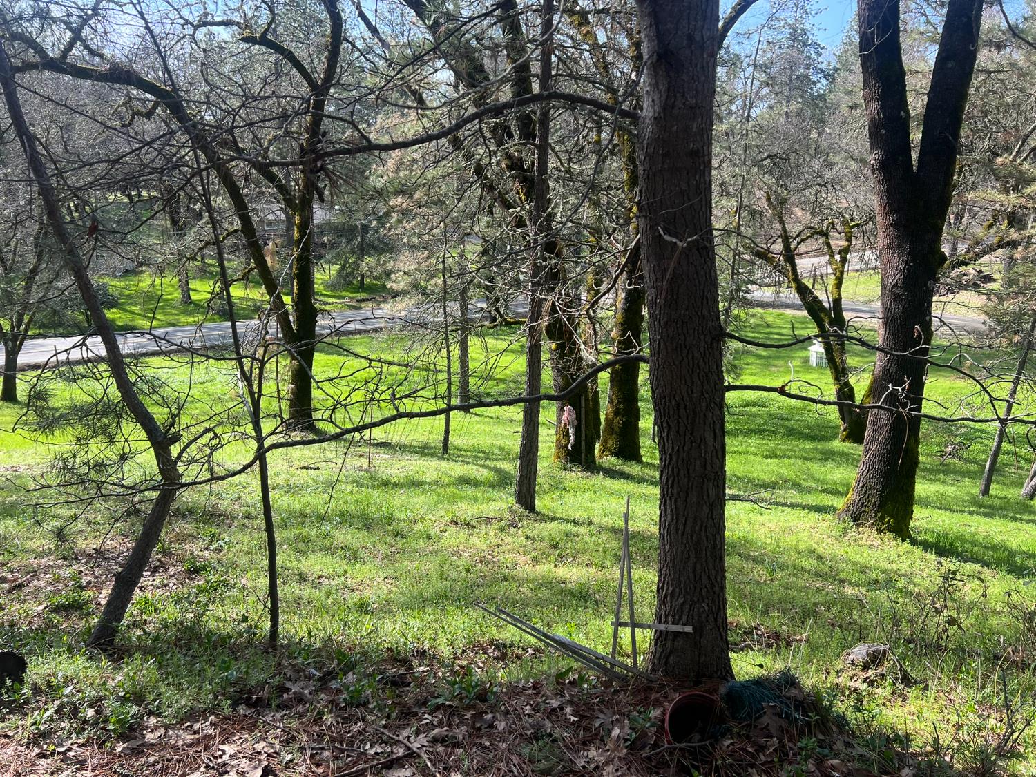 Combie Road, Meadow Vista, California image 31