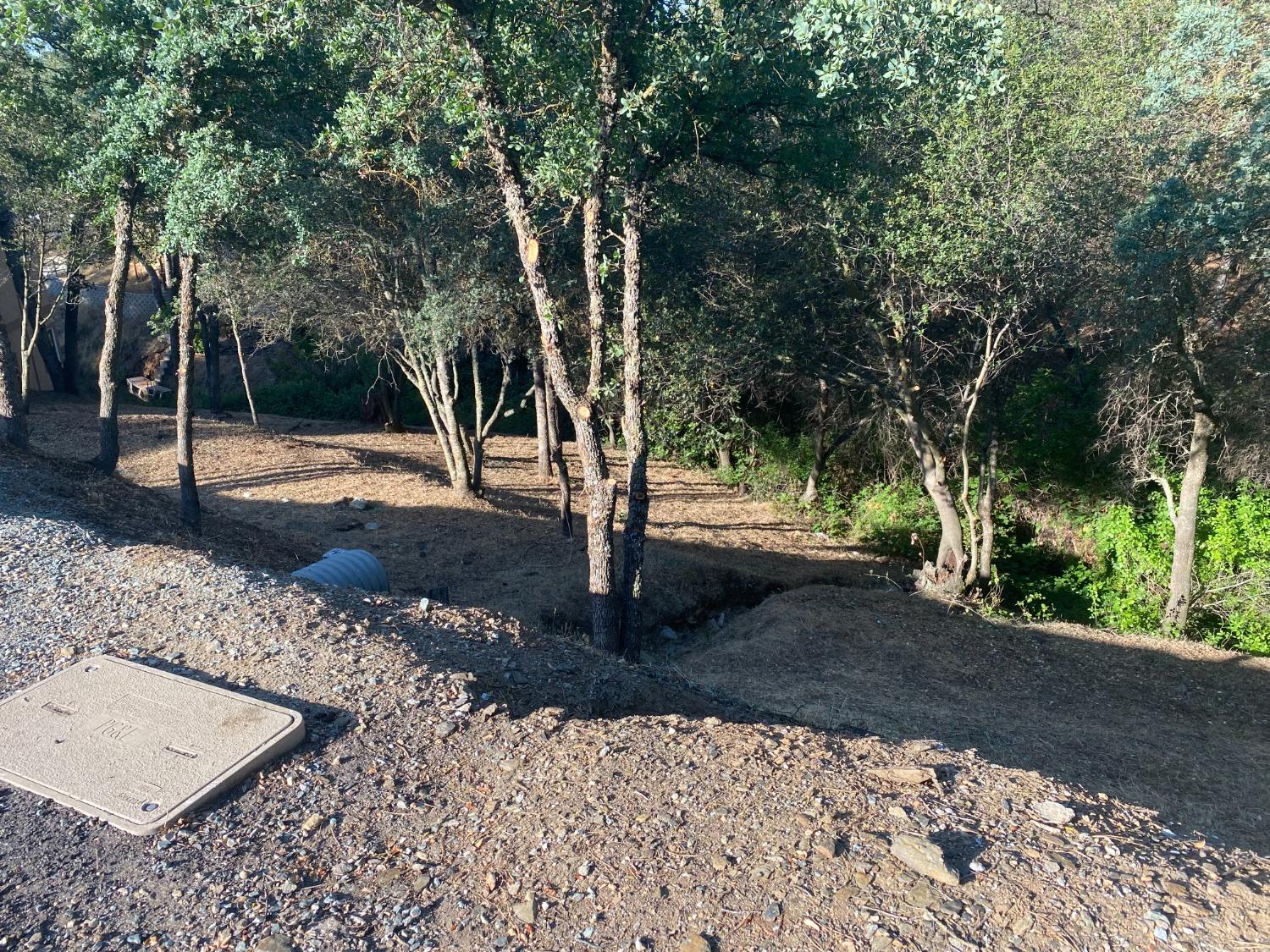 Detail Gallery Image 11 of 23 For 108 Poker Flat Rd, Copperopolis,  CA 95228 - – Beds | – Baths