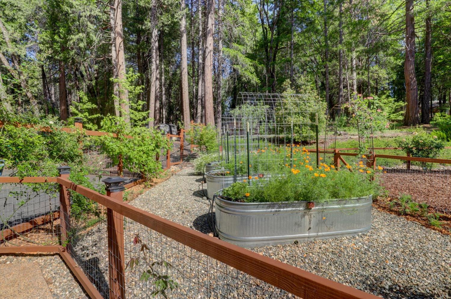 Detail Gallery Image 75 of 99 For 13459 Bass Trail, Grass Valley,  CA 95945 - 4 Beds | 3 Baths