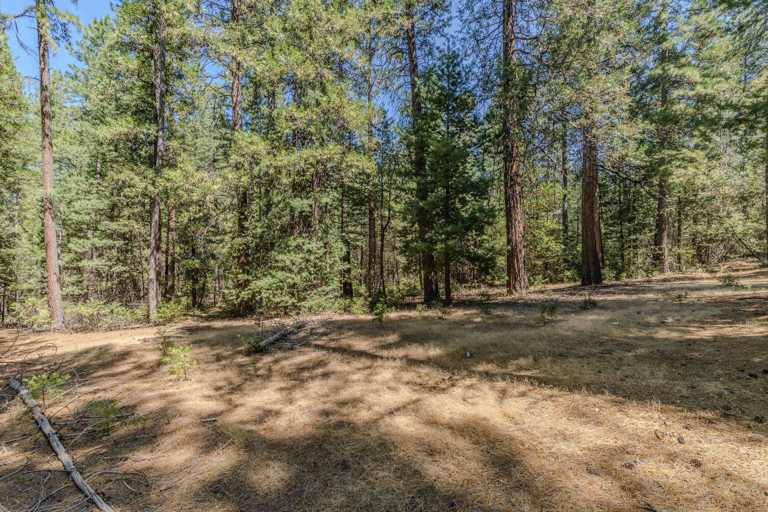Detail Gallery Image 14 of 35 For 19375 Cherokee Ln, Volcano,  CA 95689 - – Beds | – Baths