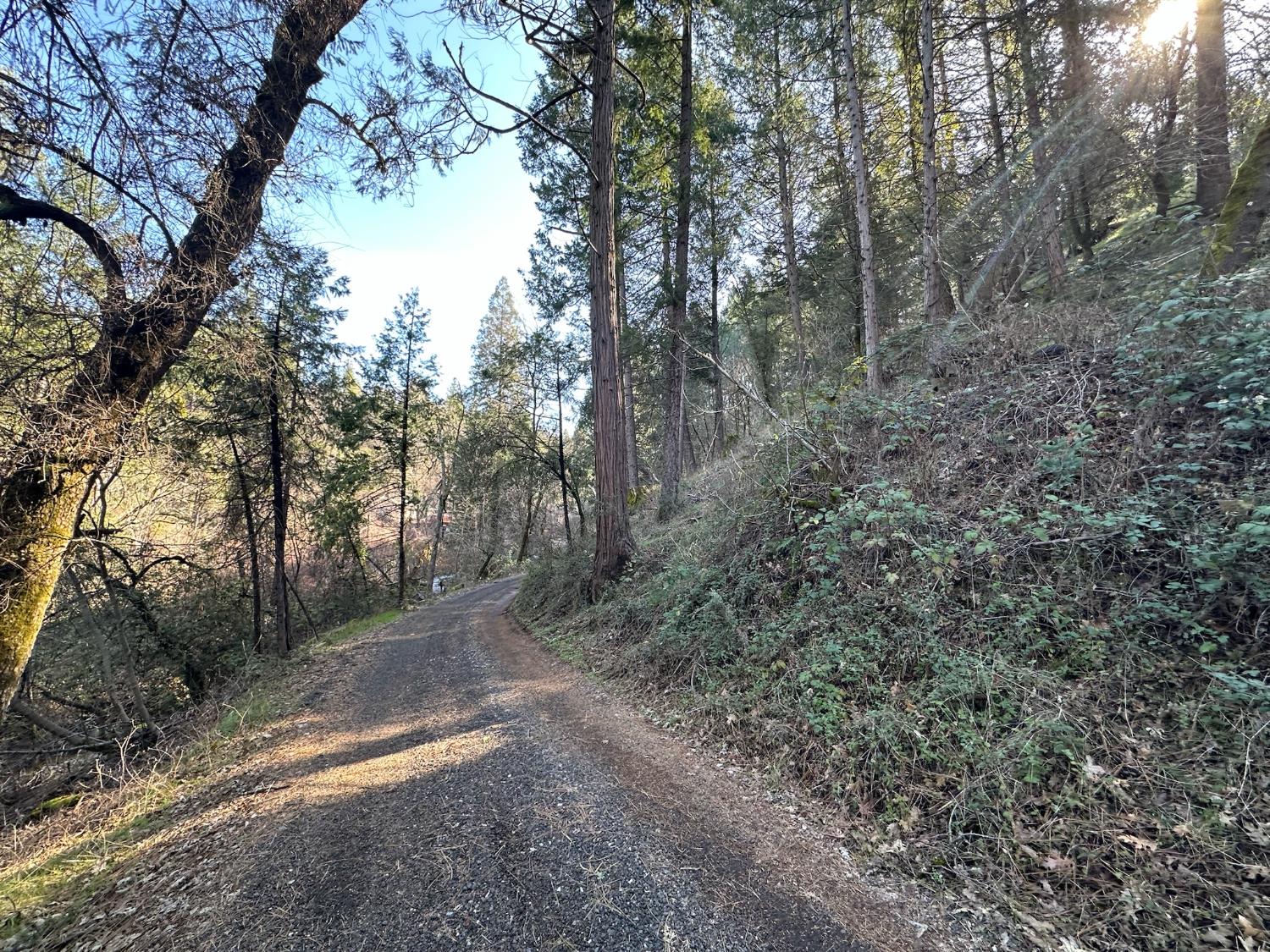 Detail Gallery Image 1 of 13 For 0 Ne Treasure Rock Ln, Placerville,  CA 95667 - – Beds | – Baths