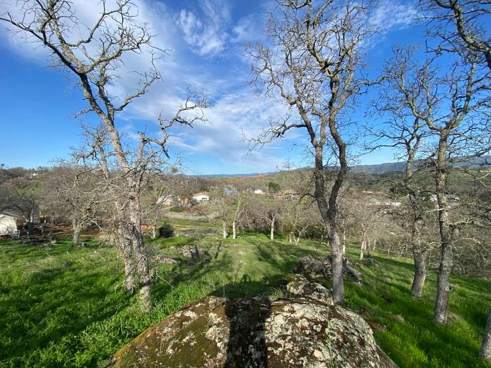 Detail Gallery Image 3 of 23 For 4241 Grisham Rd, Valley Springs,  CA 95252 - – Beds | – Baths