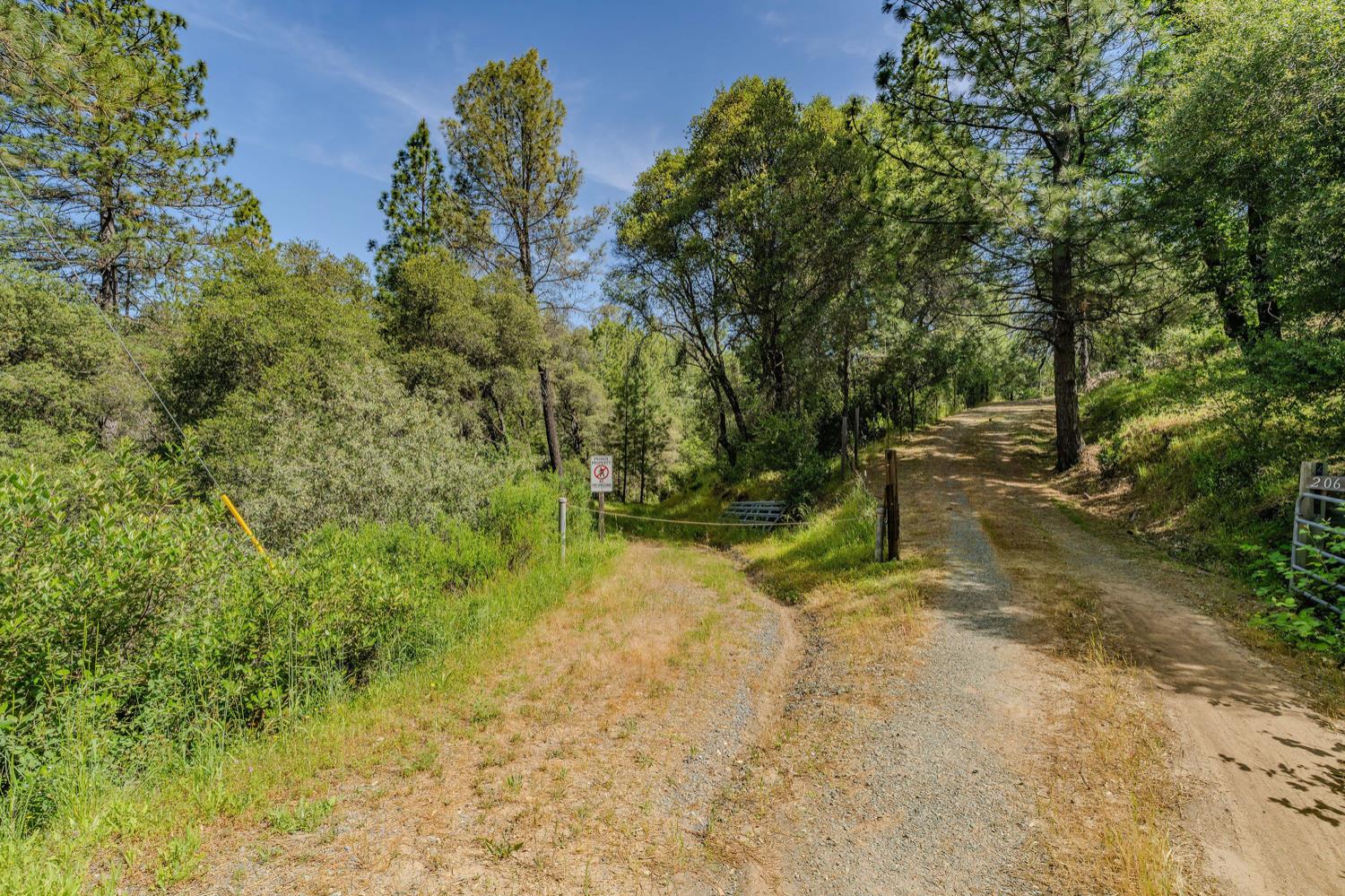 Detail Gallery Image 2 of 80 For 20651 Bertone Rd, Fiddletown,  CA 95629 - – Beds | – Baths