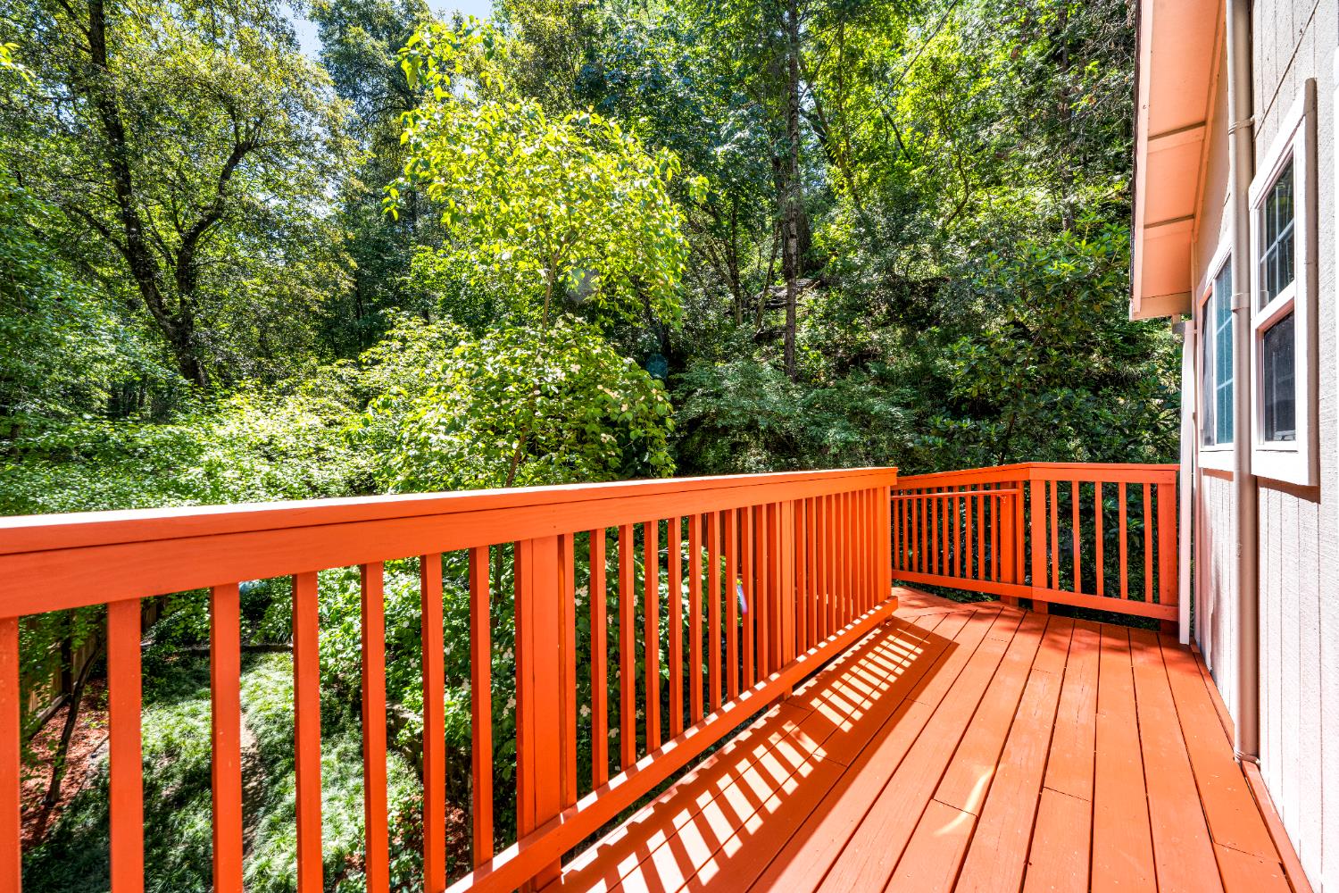 Smith Flat Road, Placerville, California image 42