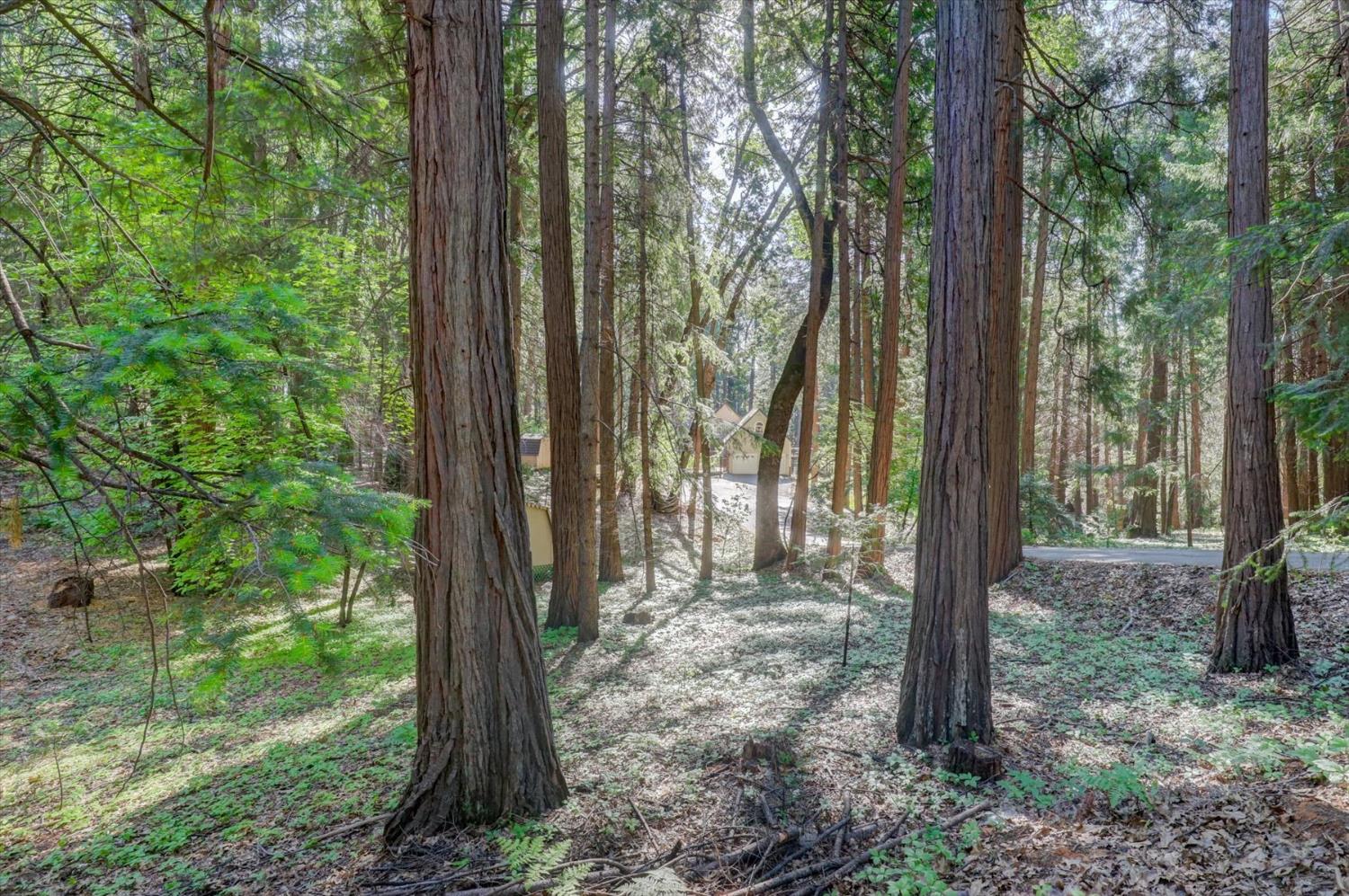 Detail Gallery Image 69 of 99 For 13459 Bass Trail, Grass Valley,  CA 95945 - 4 Beds | 3 Baths