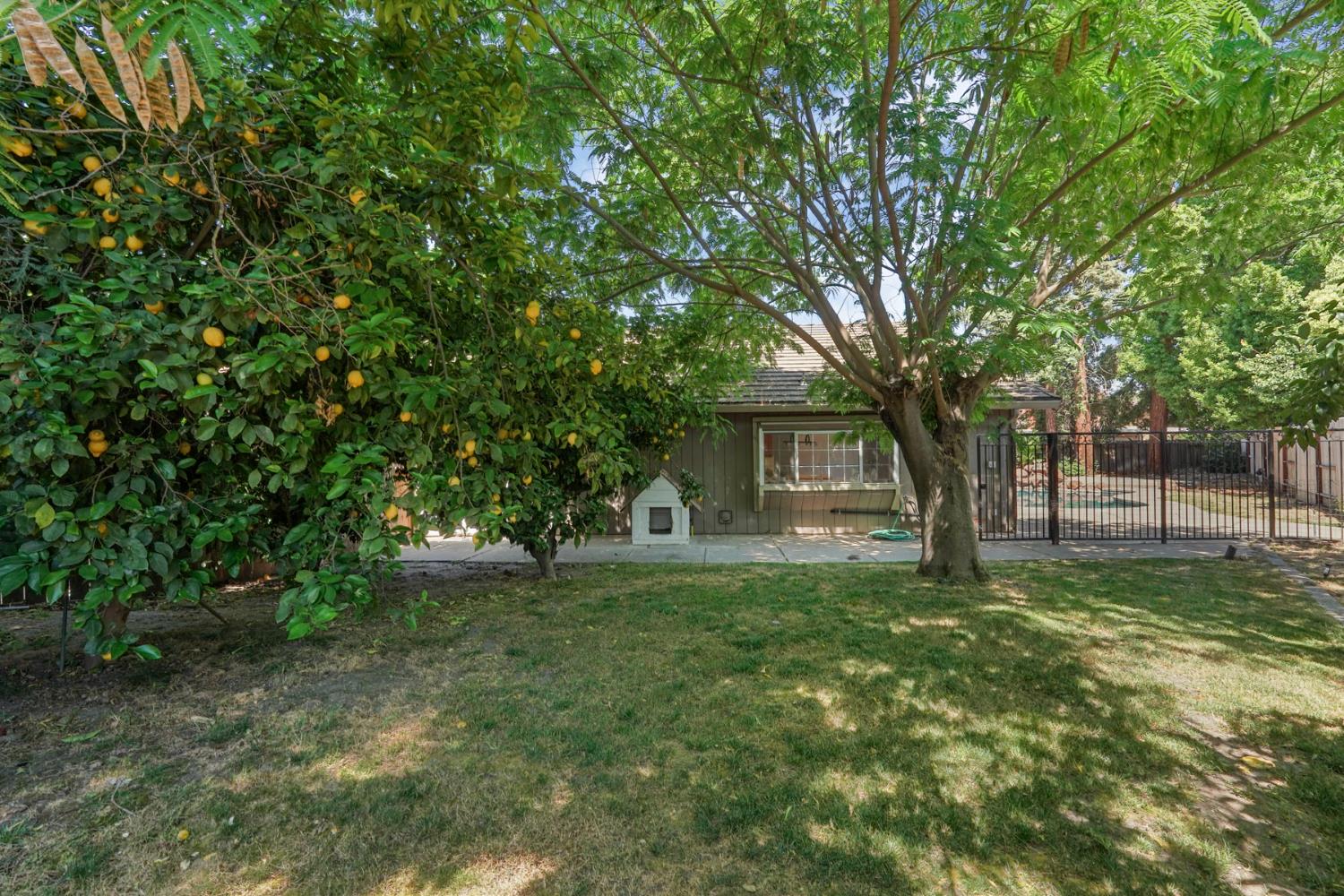 Detail Gallery Image 32 of 43 For 2903 Raintree Ct., Stockton,  CA 95219 - 3 Beds | 2 Baths