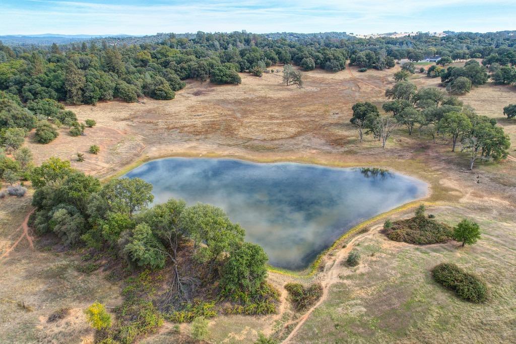 Detail Gallery Image 8 of 50 For 5520 Mother Lode Dr, Placerville,  CA 95667 - – Beds | – Baths