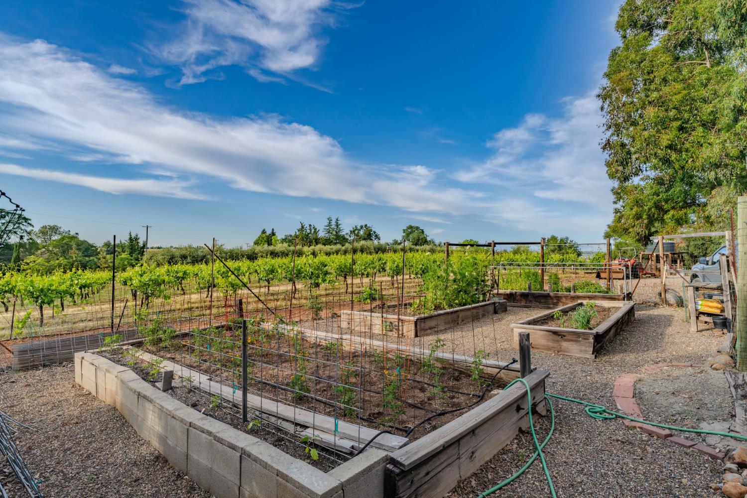 Detail Gallery Image 64 of 73 For 11321 New York Ranch Rd, Jackson,  CA 95642 - 3 Beds | 2/1 Baths
