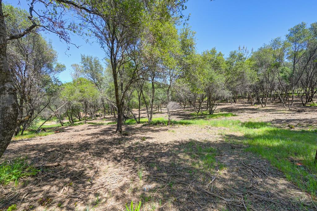 Detail Gallery Image 7 of 50 For 10650 Werner Rd, Auburn,  CA 95603 - – Beds | – Baths